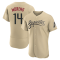 Crovyle A.Diamondbacks #14 Gabriel Moreno Player Gold City Connect Stitched Jerseys