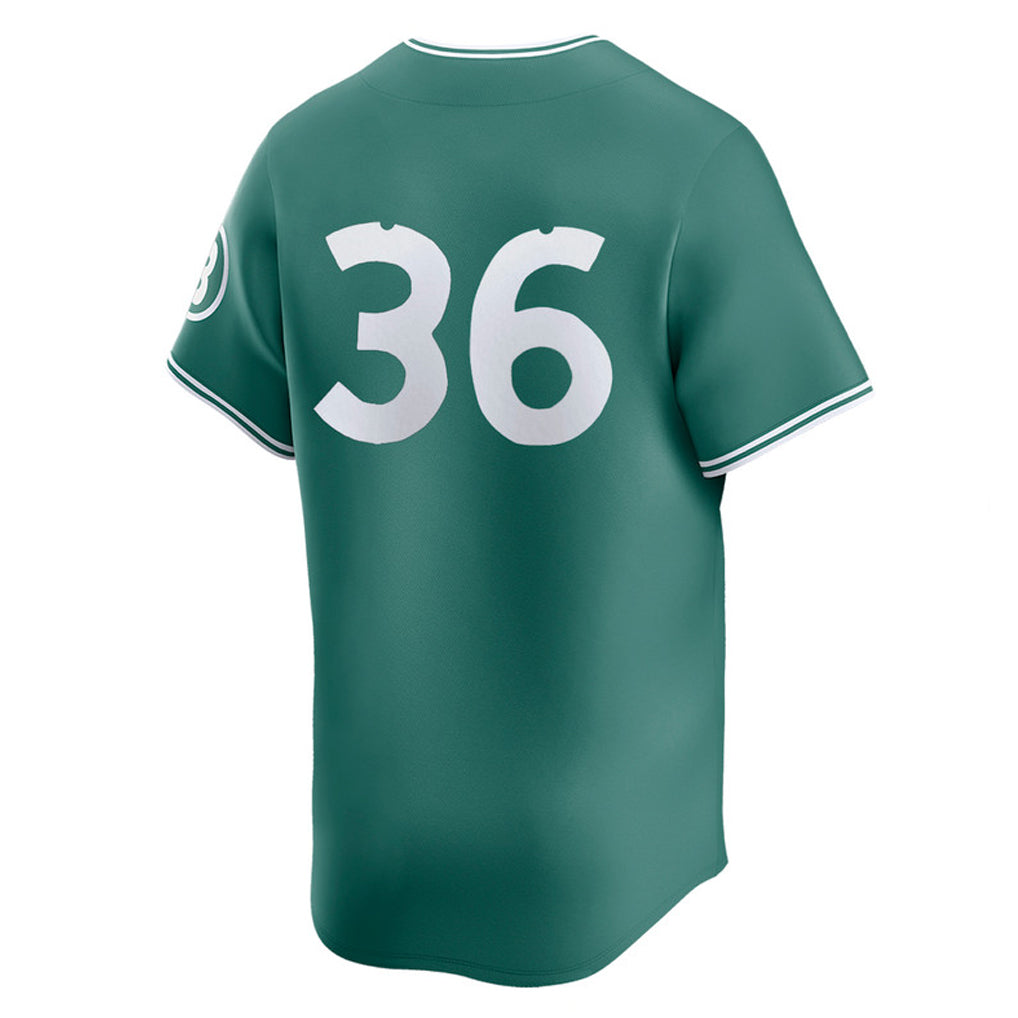 Crovyle B.Red Sox #36 Triston Casas Player Green City Connect Limited Home Game Stitched Jerseys