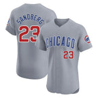 Crovyle C.Cubs #23 Ryne Sandberg Player Gray Road Limited Elite Home Stitched Jerseys