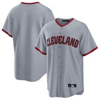 Crovyle C.Guardians Gray Home Game Blank Player Stitched Jerseys
