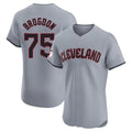 Crovyle C.Guardians #75 Connor Brogdon Player Gray Road Limited Elite Home Stitched Jerseys